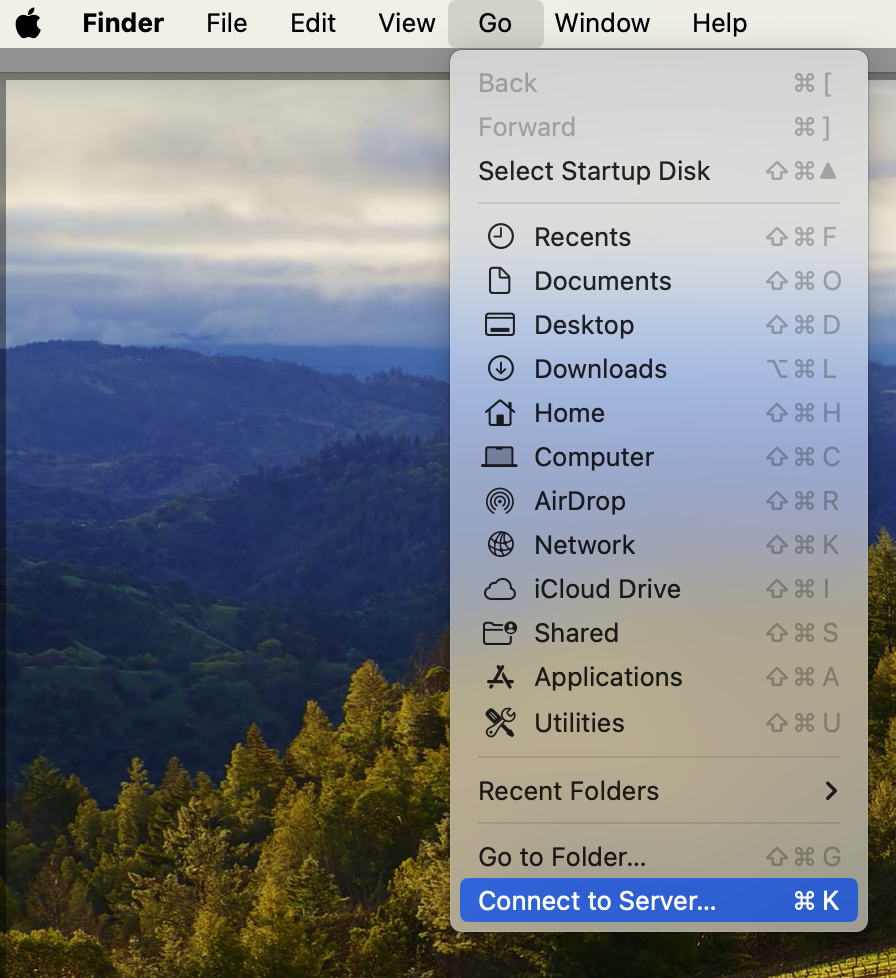 Go Connect to Server